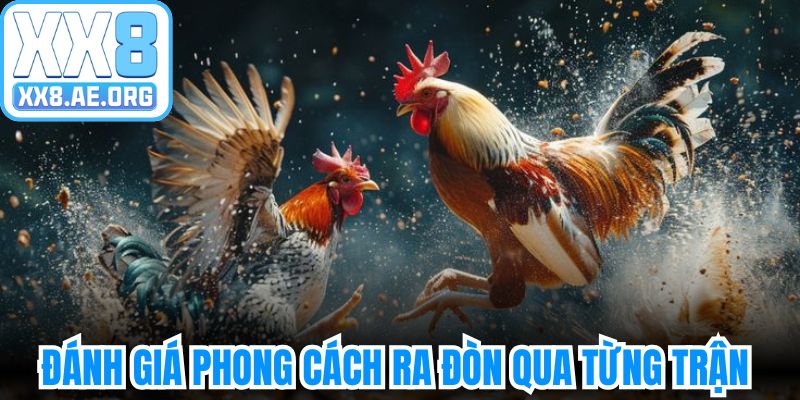 Đánh giá ra đòn thực tế kê màu mạng gà 