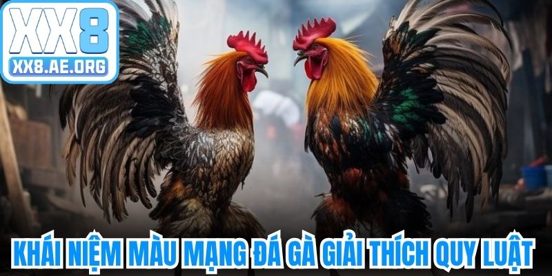 Khái niệm màu mạng đá gà giải thích quy luật 