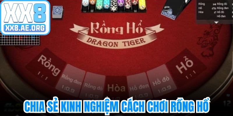 Chia sẻ kinh nghiệm hiệu quả trong cách chơi rồng hổ