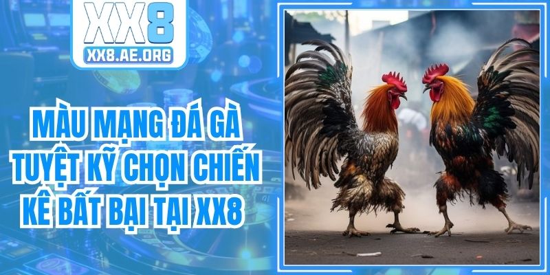 Màu Mạng Đá Gà Tuyệt Kỹ Chọn Chiến Kê Bất Bại Tại XX8