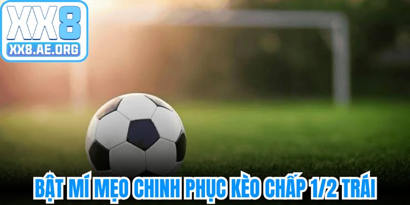 Vài nét thông tin giới thiệu về kèo chấp 1/2 trái