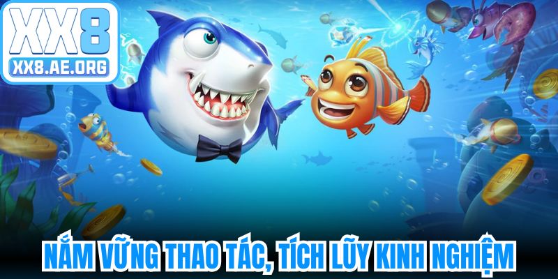 Nắm vững thao tác, tích lũy kinh nghiệm, chinh phục bắn cá tiểu tiên