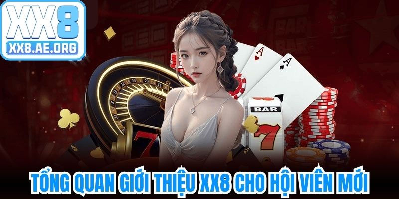 Tổng quan giới thiệu XX8 cho hội viên mới tham gia